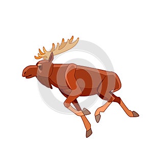 Running moose on a white isolated background. Horned Brown Elk as Herbivore Forest Animal Flat style vector Illustration