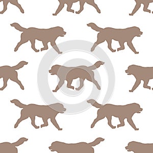 Running newfoundland dog isolated on a white background. Seamless pattern. Endless texture. Design for wallpaper, fabric