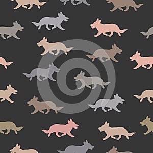 Running pembroke welsh corgi puppies differen colors. Isolated on a black background. Seamless pattern. Endless texture