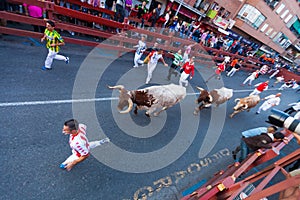 Running people and bulls