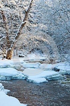 Running river in winter