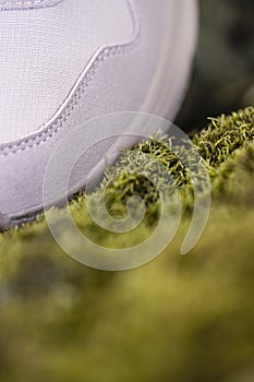 Running shoes pink leather sneaker, close-up.background of green moss