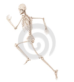 A running skeleton
