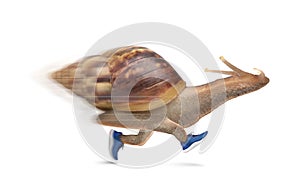 Running snail with sport shoes and motion blur