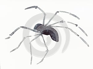 Running spider drawn by black watercolors