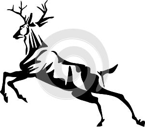 Running stag photo