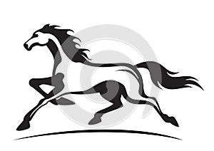 Running stallion photo