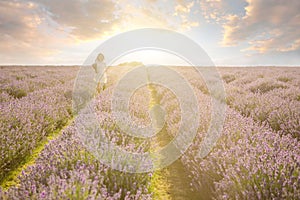 running on sunset lavender field