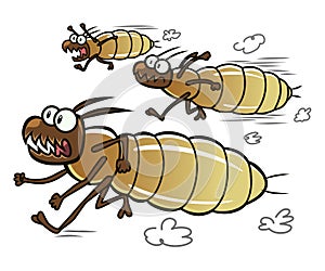 Running termites