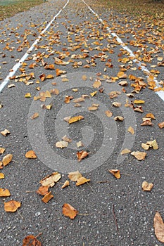 Running track in autumn with fallen leaves