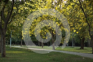 Running Track in the Park Garden for Jogging