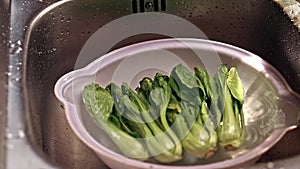Running water filling up a bowl with wilted bok choy