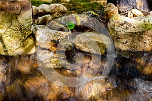 Running water over stones in a stream photo