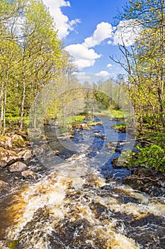 Running water in river by a lush green budding forest