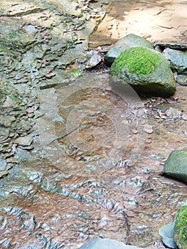 Running Water in a Stream with Moss Covered Rocks