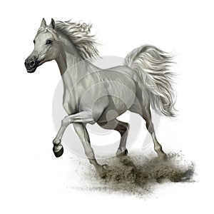 Correr blanco un caballo 