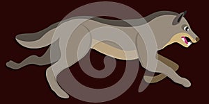 Running wolf. Vector illustration on dark brown background. Wild wolf with opened mouth, big tooth.