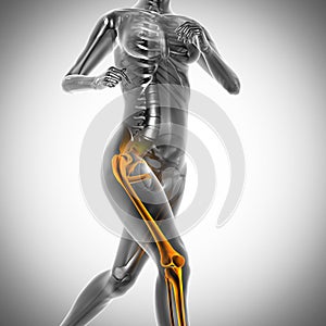 Running woman radiography scan image