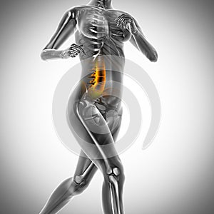 Running woman radiography scan image