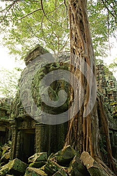 Runs of ancient Cambodian temple