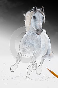 Runs white horse get living from arts scetch