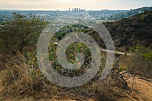 Runyon Canyon Park and downtown of Santa Monica