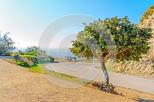 Runyon Canyon Trail Landscape in Santa Monica Mountains