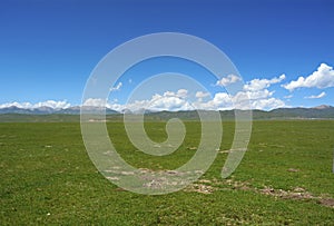 Ruoergai Grassland photo
