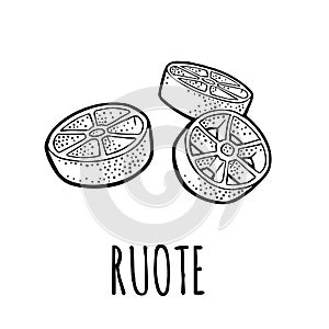 Ruote. Vector vintage engraving black illustration isolated on white background.