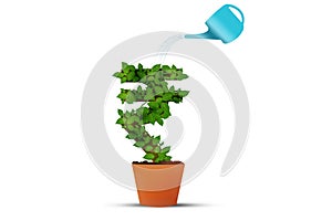 Rupee Money Plant Rupee Symbol