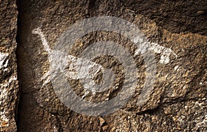 Rupestrian rock art in Sumbay Cave from paleolithic era, Southern Peru photo