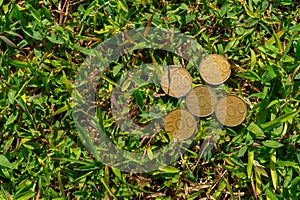 Rupiah coin money on green grass