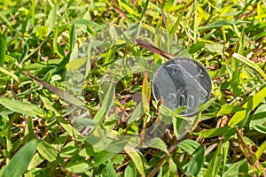 Rupiah coin money on green grass