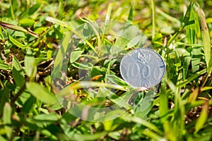 Rupiah coin money on green grass