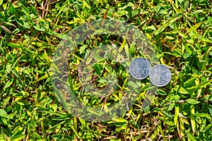 Rupiah coin money on green grass