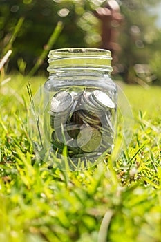 Rupiah Coin Money in jar on Green Grass Nature Background