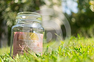 Rupiah Paper Money in jar on Green Nature Background