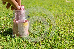 Rupiah Paper Money in jar on Green Nature Background