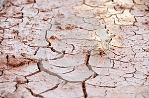 Rupture becaue of Drought photo