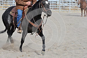 Rural Activity: Dexterous movement of cutting horse