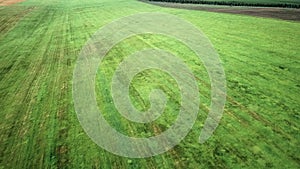 Rural aerial landscape with multicolor agriculture fields. Canola oilseed and oat, wheat fields. Agricultural parcels of