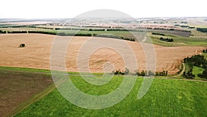 Rural aerial landscape with multicolor agriculture fields. Canola oilseed and oat, wheat fields. Agricultural parcels of