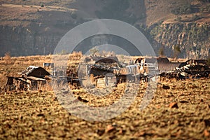 Rural Africa