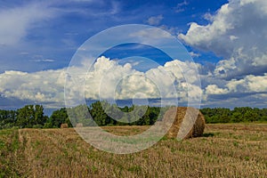 Rural agriculture field scenic view of stack of hay landscape in vivid and colorful clear weather day time August month