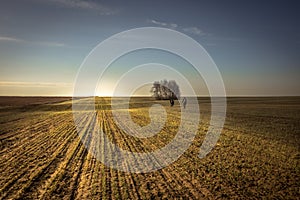 Rural agriculture field at sunrise with people going into distance in forward direction sunrise sky horizon countryside landscape