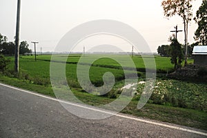 A Rural Area in Bangladesh