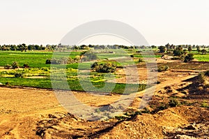 Rural area landscape near Dongola in Sudan photo