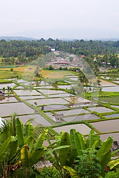 Rural area in west Sumatra