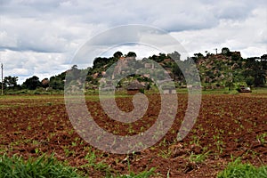 Rural area in Zimbabwe with balancing rocks in background