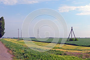 Rural areas. Field. Road. Trees